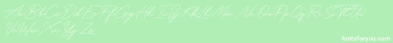 Funky Signature-Schriftart – Weiße Schriften auf grünem Hintergrund