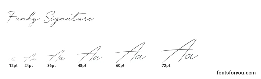 Размеры шрифта Funky Signature