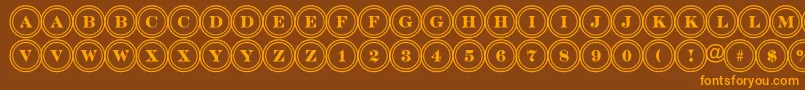 DiscoserifdblRegular Font – Orange Fonts on Brown Background