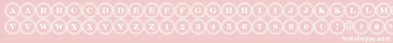 DiscoserifdblRegular Font – White Fonts on Pink Background