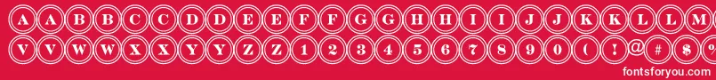 DiscoserifdblRegular Font – White Fonts on Red Background