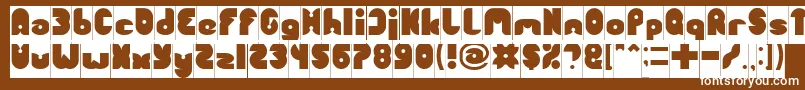 FUNNY SPORT Inverse Font – White Fonts on Brown Background