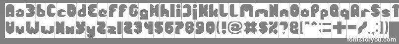 FUNNY SPORT Inverse Font – White Fonts on Gray Background