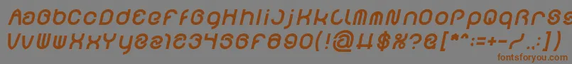 FUNRECORD Bold Italic Font – Brown Fonts on Gray Background