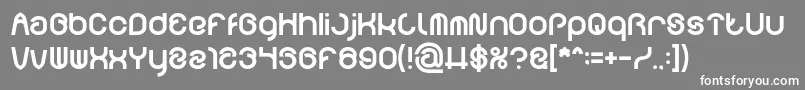 FUNRECORD Bold Font – White Fonts on Gray Background