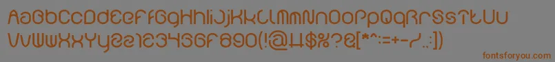 FUNRECORD light Font – Brown Fonts on Gray Background