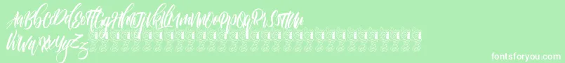 Funtastic Font – White Fonts on Green Background