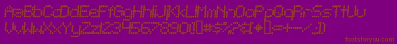 TelegraphicBoldItalic Font – Brown Fonts on Purple Background