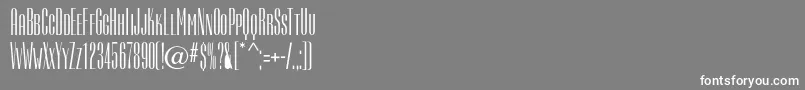 Camertondc Font – White Fonts on Gray Background