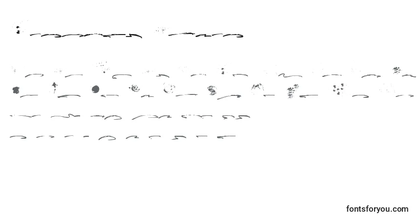 Czcionka Fusterd Bonus (127463) – alfabet, cyfry, specjalne znaki
