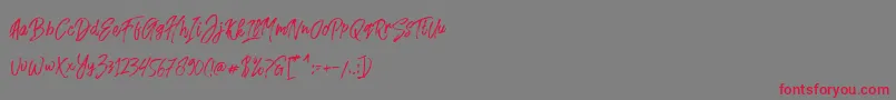 Fusterd Brush Font – Red Fonts on Gray Background
