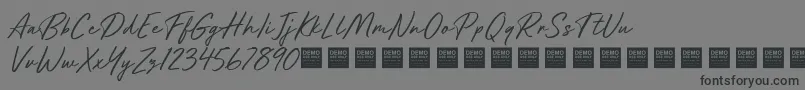 Future Shock   Demo-Schriftart – Schwarze Schriften auf grauem Hintergrund