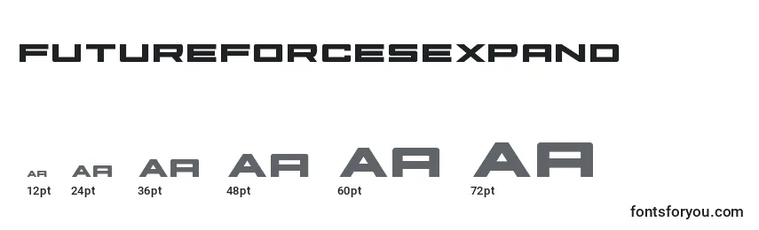 Futureforcesexpand (127504) Font Sizes