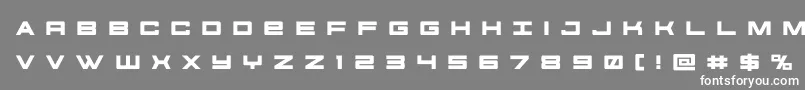 futureforcesrtitle Font – White Fonts on Gray Background
