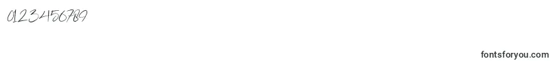 Gabrialle-Schriftart – Schriften für Zahlen und Nummern