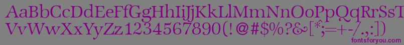 ZabriskieinternationalLightRegular Font – Purple Fonts on Gray Background