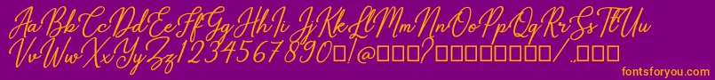 Gabryna Font – Orange Fonts on Purple Background