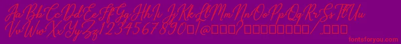 Gabryna Font – Red Fonts on Purple Background