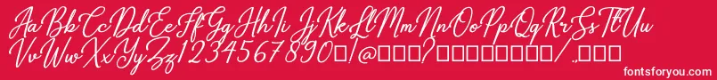 Gabryna Font – White Fonts on Red Background