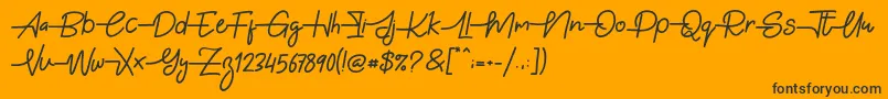 Gabuek Script Font – Black Fonts on Orange Background