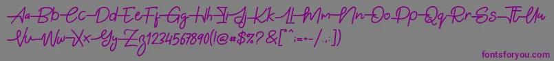 Gabuek Script Font – Purple Fonts on Gray Background