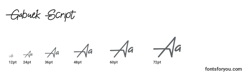 Размеры шрифта Gabuek Script