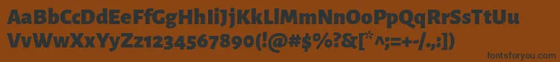 AlegreyasansBlack Font – Black Fonts on Brown Background