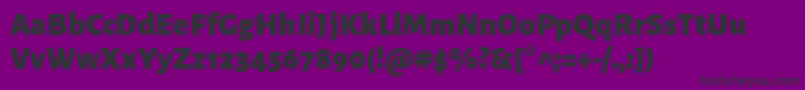 AlegreyasansBlack Font – Black Fonts on Purple Background