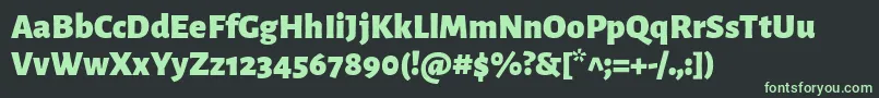 AlegreyasansBlack Font – Green Fonts on Black Background