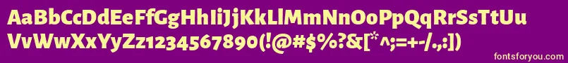 AlegreyasansBlack Font – Yellow Fonts on Purple Background