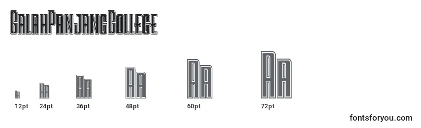 GalahPanjangCollege Font Sizes
