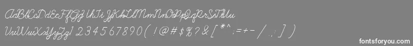 フォントGalatee – 灰色の背景に白い文字