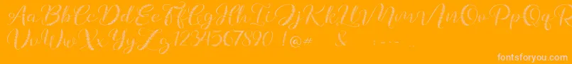 More about Galea Font Galea Font – Pink Fonts on Orange Background