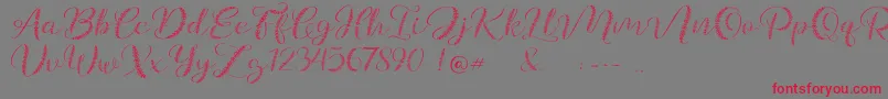 Galea-Schriftart – Rote Schriften auf grauem Hintergrund