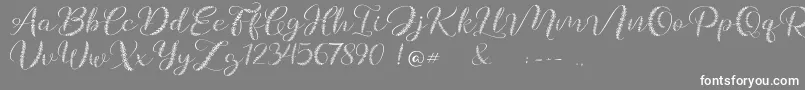 Galea-Schriftart – Weiße Schriften auf grauem Hintergrund