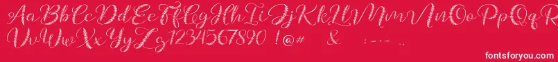 Galea Font – White Fonts on Red Background