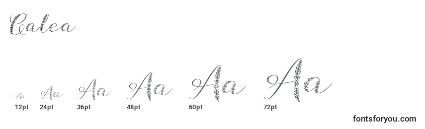Galea (127639) Font Sizes