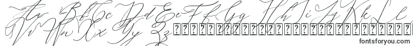 Шрифт galgadot – каллиграфические шрифты