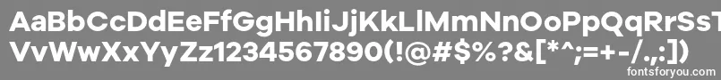 フォントGalyon Bold – 灰色の背景に白い文字