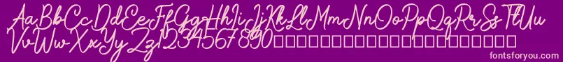 Gamelia Font – Pink Fonts on Purple Background