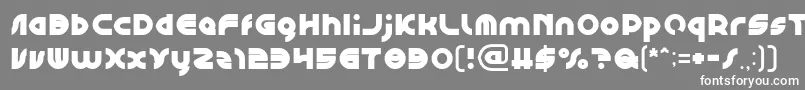 Czcionka GAPHIC DESIGN – białe czcionki na szarym tle