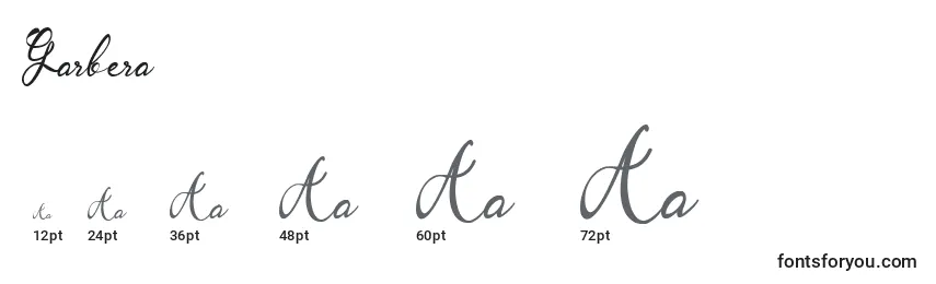 Garbera Font Sizes
