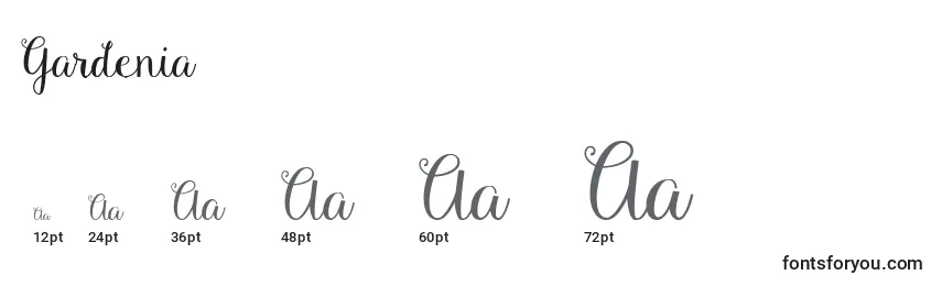 Gardenia (127716) Font Sizes
