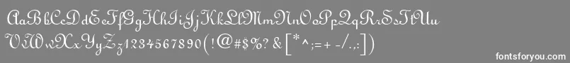 フォントLinus – 灰色の背景に白い文字