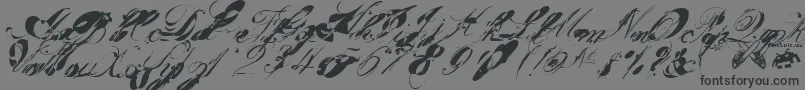 フォントgarglenutz fontvir us – 黒い文字の灰色の背景