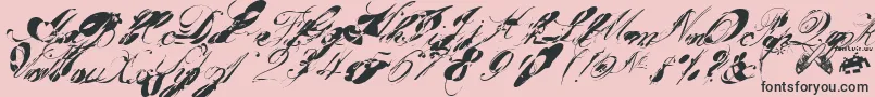 garglenutz fontvir us-Schriftart – Schwarze Schriften auf rosa Hintergrund