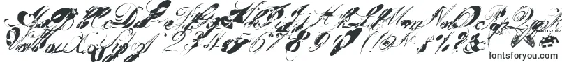 garglenutz fontvir us Font – Fonts for Adobe Illustrator