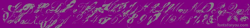 garglenutz fontvir us-Schriftart – Graue Schriften auf violettem Hintergrund