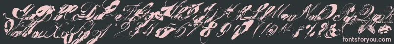 garglenutz fontvir us-Schriftart – Rosa Schriften auf schwarzem Hintergrund