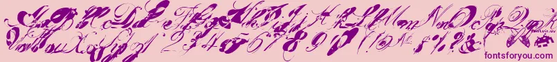 garglenutz fontvir us-Schriftart – Violette Schriften auf rosa Hintergrund